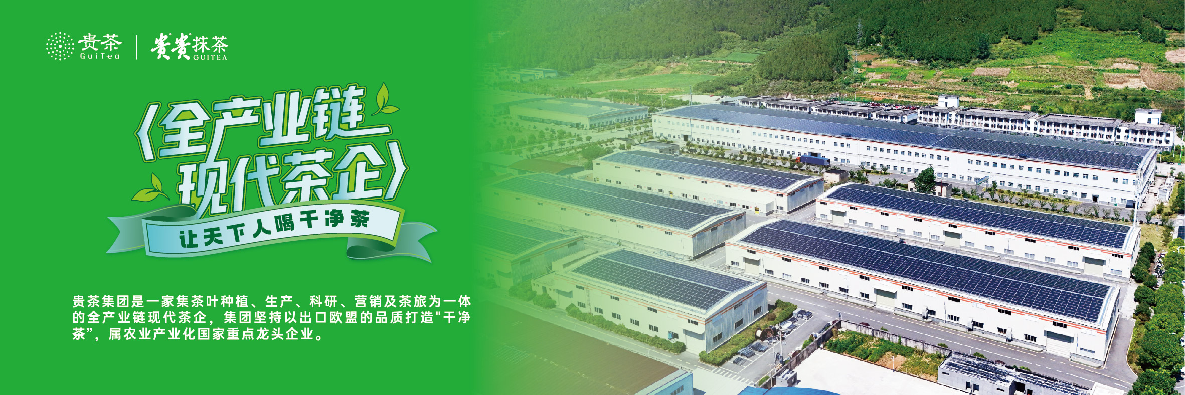全产业链现代茶企