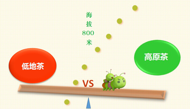 20140620114117_15160.jpg